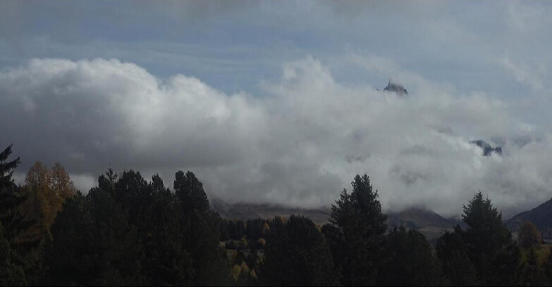 Webcam Bellamonte-Alpe Lusia - Pale di San Martino