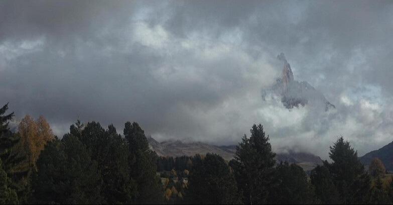 Webcam Bellamonte-Alpe Lusia - Pale di San Martino