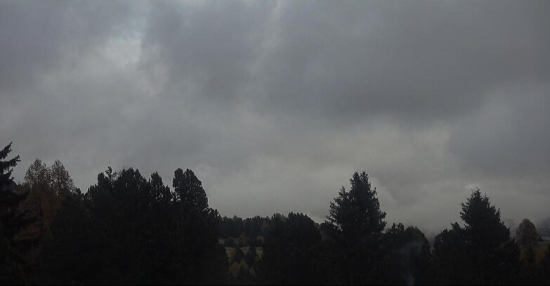 Webcam Bellamonte-Alpe Lusia - Pale di San Martino