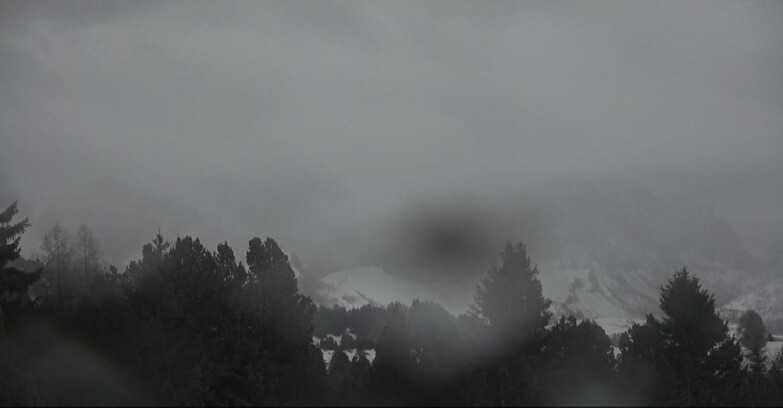 Webcam Bellamonte-Alpe Lusia  - Palagruppe