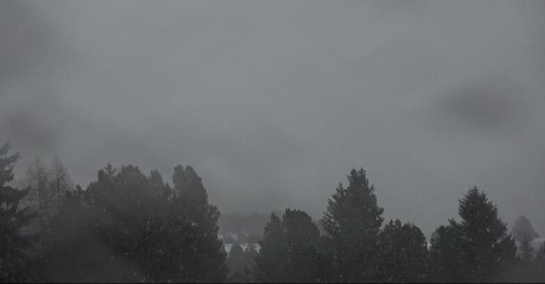 Webcam Bellamonte-Alpe Lusia  - Palagruppe