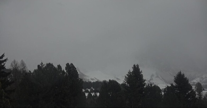 Webcam Bellamonte-Alpe Lusia  - Palagruppe