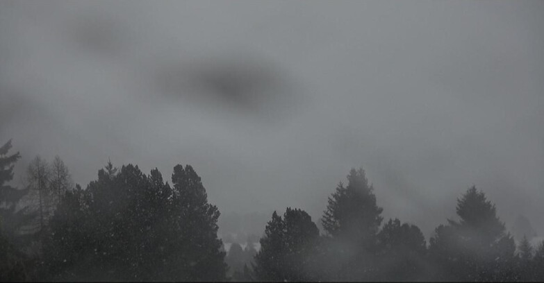 Webcam Bellamonte-Alpe Lusia  - Palagruppe