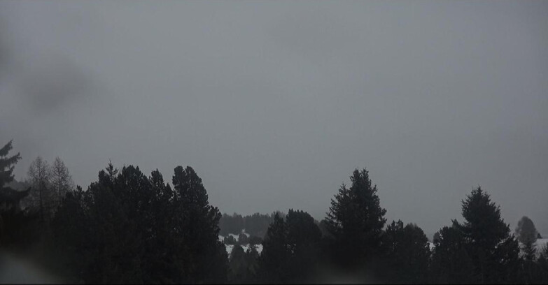 Webcam Bellamonte-Alpe Lusia  - Pale di San Martino