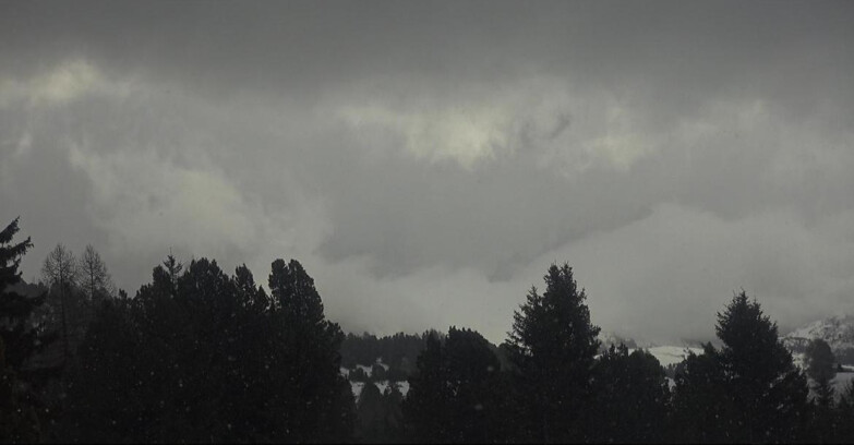 Webcam Bellamonte-Alpe Lusia - Pale di San Martino