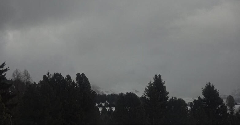 Webcam Bellamonte-Alpe Lusia - Pale di San Martino