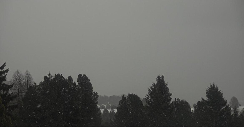 Webcam Bellamonte-Alpe Lusia - Pale di San Martino