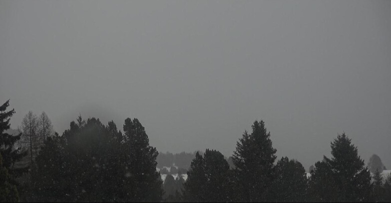 Webcam Bellamonte-Alpe Lusia - Pale di San Martino