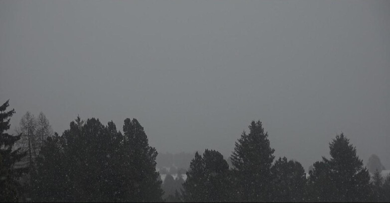 Webcam Bellamonte-Alpe Lusia - Pale di San Martino