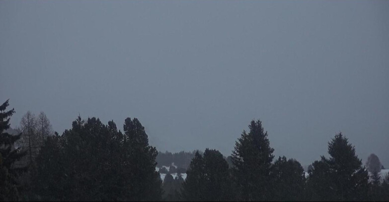 Webcam Bellamonte-Alpe Lusia - Pale di San Martino