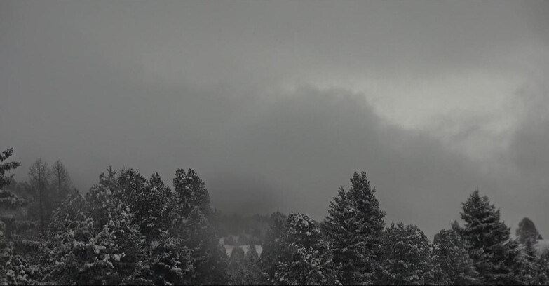 Webcam Bellamonte-Alpe Lusia  - Pale di San Martino