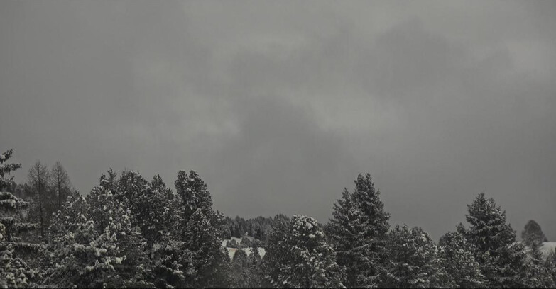 Webcam Bellamonte-Alpe Lusia  - Pale di San Martino