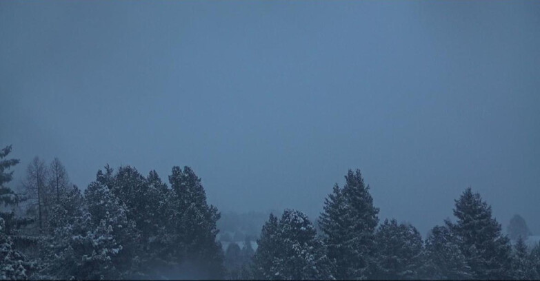 Webcam Bellamonte-Alpe Lusia  - Pale di San Martino