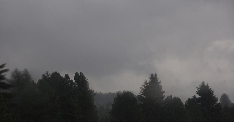 Webcam Bellamonte-Alpe Lusia  - Pale di San Martino