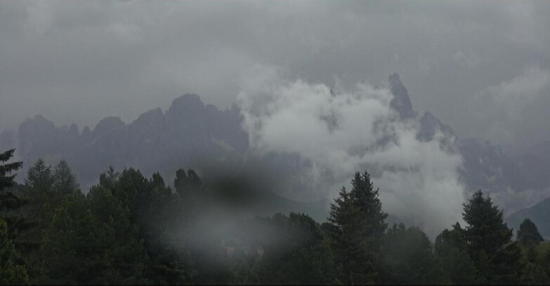 Webcam Bellamonte-Alpe Lusia  - Pale di San Martino