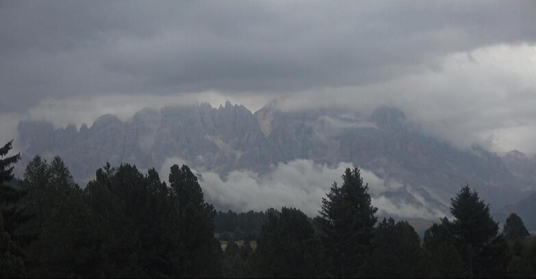 Webcam Bellamonte-Alpe Lusia  - Pale di San Martino