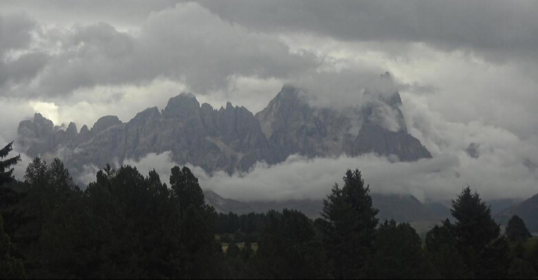 Webcam Bellamonte-Alpe Lusia  - Pale di San Martino