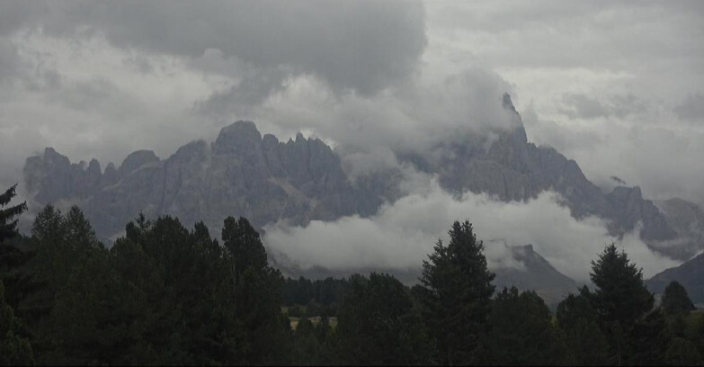 Webcam Bellamonte-Alpe Lusia - Pale di San Martino