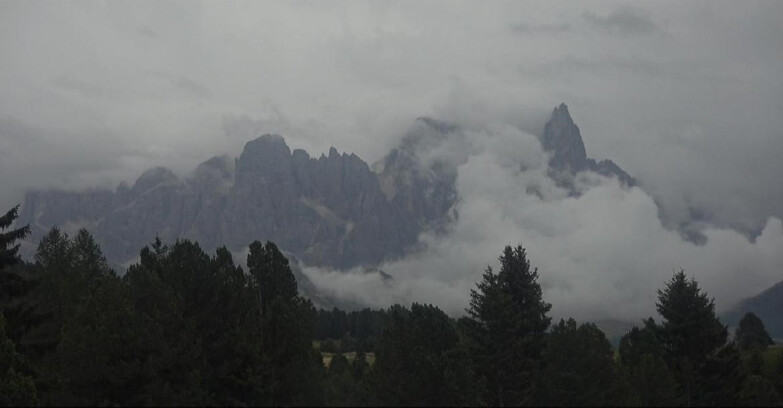 Webcam Bellamonte-Alpe Lusia  - Palagruppe
