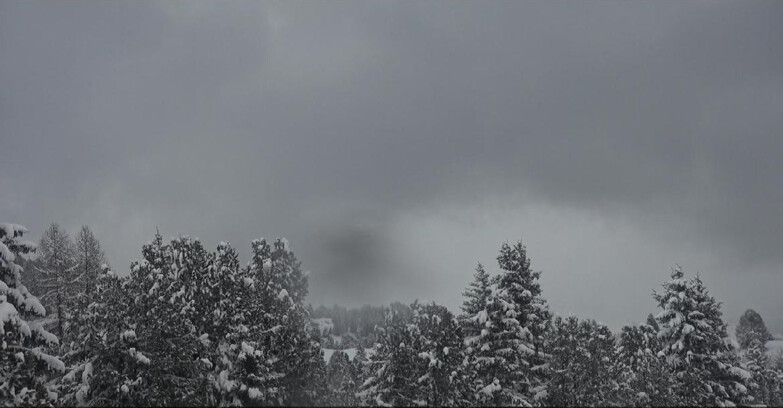 Webcam Bellamonte-Alpe Lusia  - Palagruppe