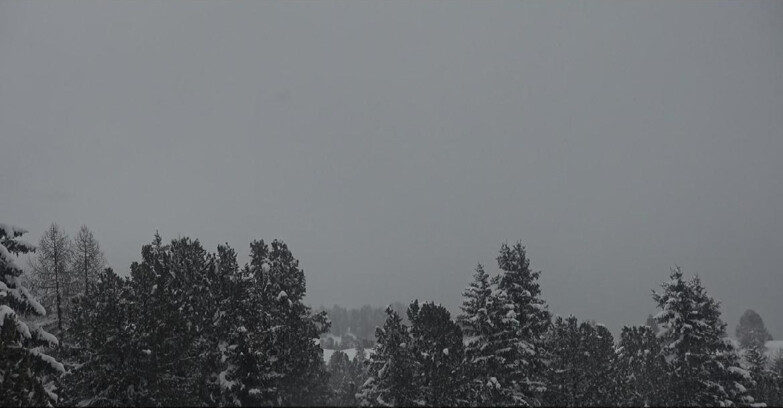 Webcam Bellamonte-Alpe Lusia  - Palagruppe