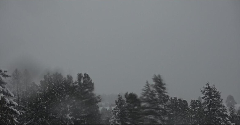 Webcam Bellamonte-Alpe Lusia  - Palagruppe