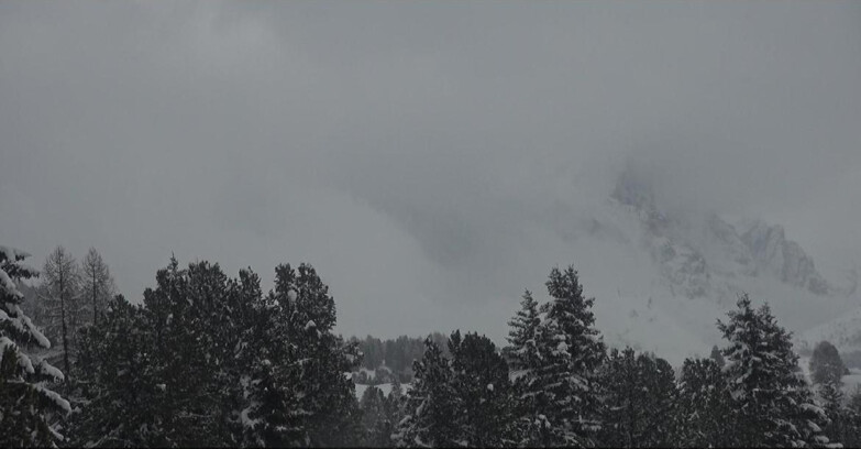 Webcam Bellamonte-Alpe Lusia  - Palagruppe