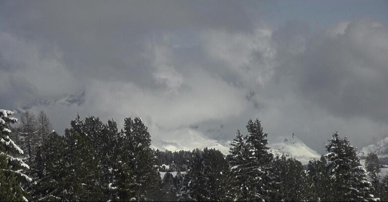 Webcam Bellamonte-Alpe Lusia  - Palagruppe