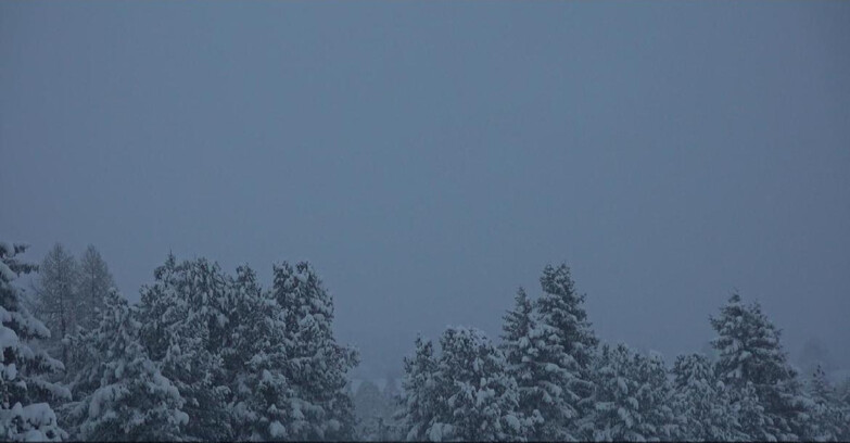 Webcam Bellamonte-Alpe Lusia  - Palagruppe