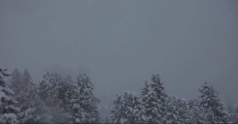 Webcam Bellamonte-Alpe Lusia  - Palagruppe