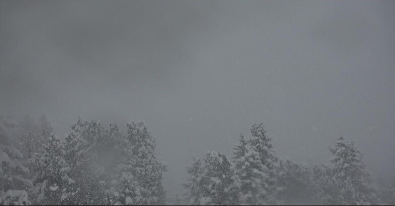 Webcam Bellamonte-Alpe Lusia  - Palagruppe