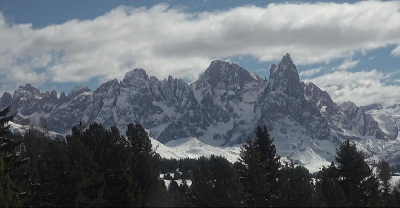Webcam Bellamonte-Alpe Lusia - Pale di San Martino