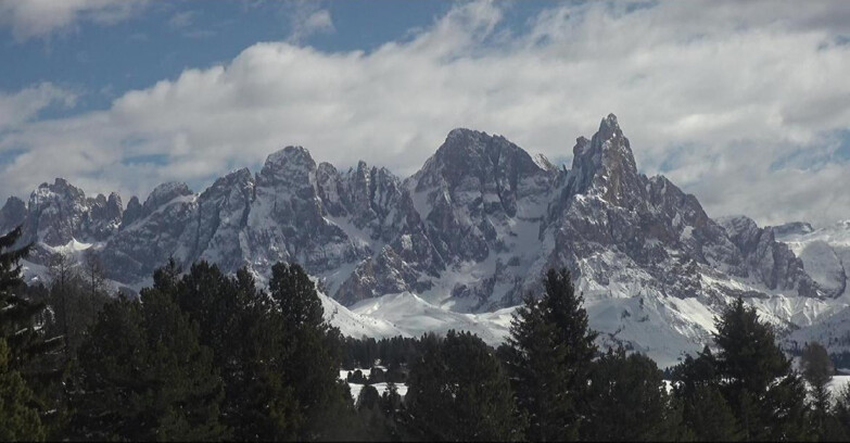 Webcam Bellamonte-Alpe Lusia - Pale di San Martino
