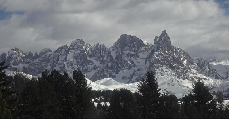 Webcam Bellamonte-Alpe Lusia - Pale di San Martino