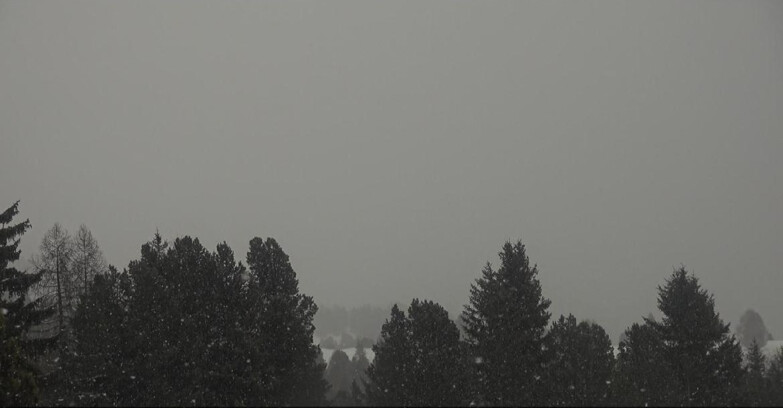 Webcam Bellamonte-Alpe Lusia  - Pale di San Martino