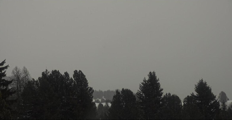 Webcam Bellamonte-Alpe Lusia  - Pale di San Martino