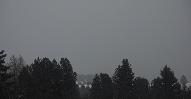 Webcam Bellamonte-Alpe Lusia  - Pale di San Martino