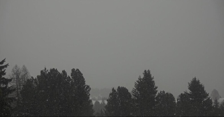 Webcam Bellamonte-Alpe Lusia  - Pale di San Martino