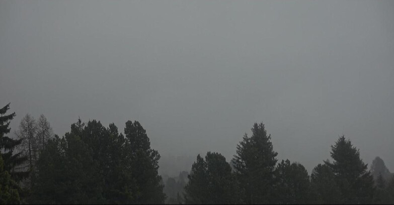 Webcam Bellamonte-Alpe Lusia - Pale di San Martino