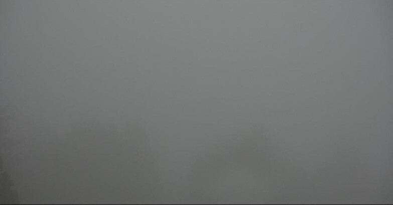 Webcam Bellamonte-Alpe Lusia - Pale di San Martino