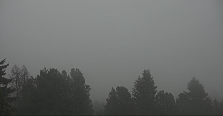 Webcam Bellamonte-Alpe Lusia - Pale di San Martino