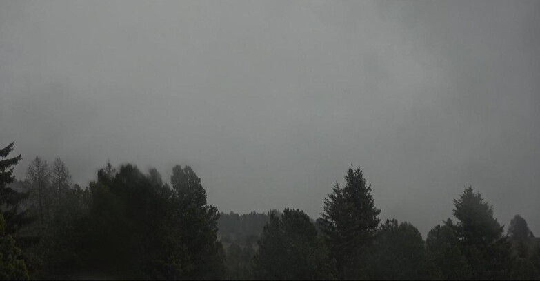 Webcam Bellamonte-Alpe Lusia - Pale di San Martino