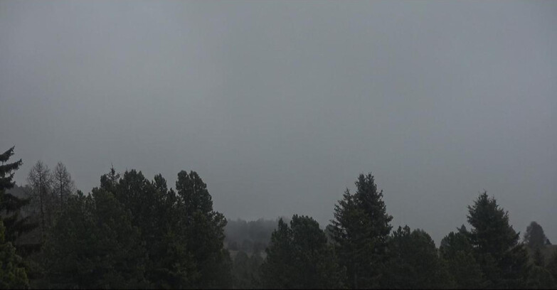 Webcam Bellamonte-Alpe Lusia - Pale di San Martino