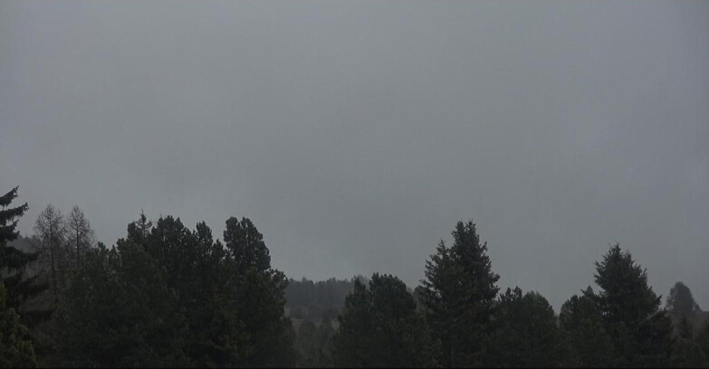 Webcam Bellamonte-Alpe Lusia - Pale di San Martino