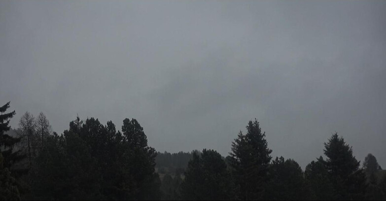 Webcam Bellamonte-Alpe Lusia - Pale di San Martino