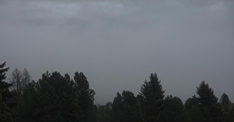 Webcam Bellamonte-Alpe Lusia - Pale di San Martino