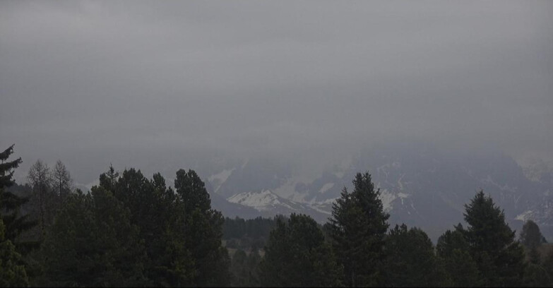 Webcam Bellamonte-Alpe Lusia - Pale di San Martino
