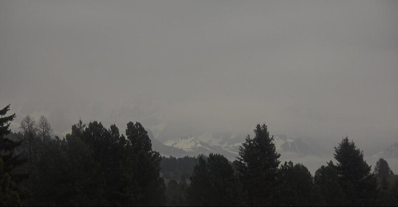 Webcam Bellamonte-Alpe Lusia - Pale di San Martino