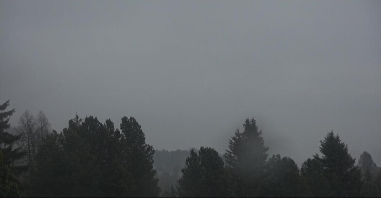 Webcam Bellamonte-Alpe Lusia - Pale di San Martino