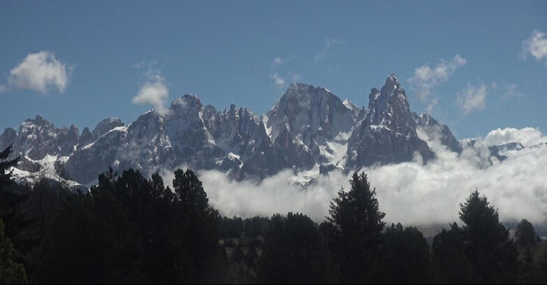 Webcam Bellamonte-Alpe Lusia  - Palagruppe